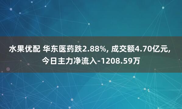 水果优配 华东医药跌2.88%, 成交额4.70亿元, 今日主力净流入-1208.59万