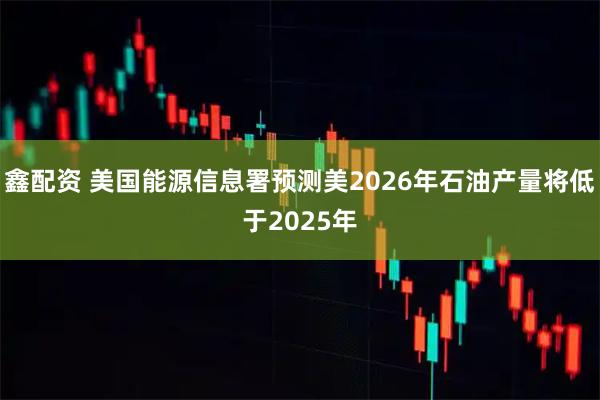 鑫配资 美国能源信息署预测美2026年石油产量将低于2025年