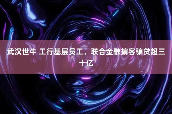 武汉世牛 工行基层员工，联合金融掮客骗贷超三十亿