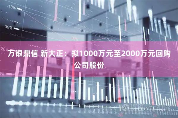 万银鼎信 新大正：拟1000万元至2000万元回购公司股份